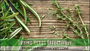 drying herbs effectively