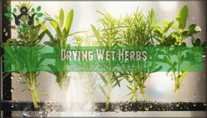 drying wet herbs