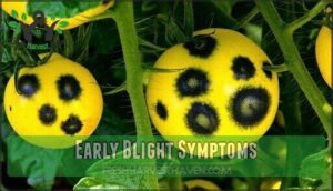 early blight symptoms
