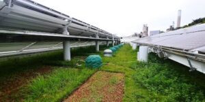 EcoPark