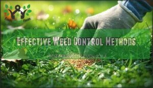 effective weed control methods