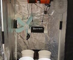 El Viejo Grow Shop
