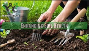 enhancing soil health