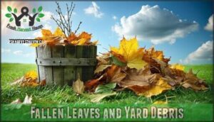 fallen leaves and yard debris