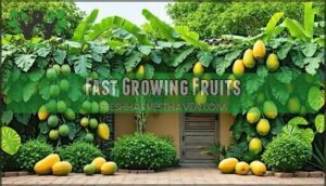 fast growing fruits