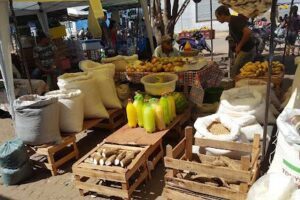 Feira Coberta Da Laranjeiras