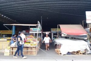 Feira da Patagônia