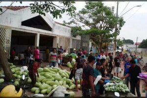 Feira do Agricultor Rural