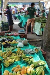 Feira Orgânica Belém - Pará Orgânico - Produtos Apícolas