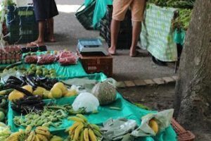 Feira Orgânica Belém - Pará Orgânico - Produtos Apícolas