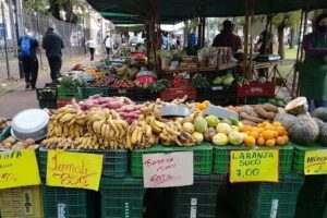 Feira Orgânica - Passeio Público