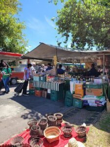 Feira Orgânica Seminário