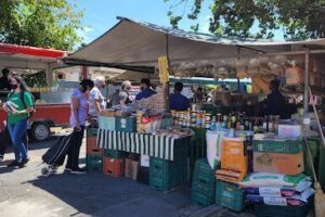Feira Orgânica Seminário