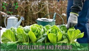 fertilization and pruning