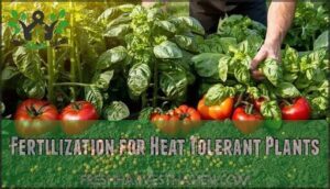fertilization for heat tolerant plants