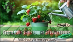fertilizing and pruning strawberries