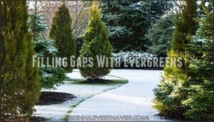 filling gaps with evergreens