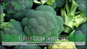 floret color indicators
