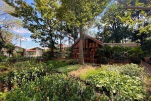 Floricultura Terra - Jardinagem e Paisagismo