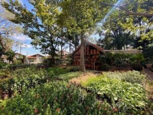 Floricultura Terra - Jardinagem e Paisagismo