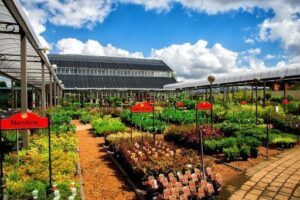 Flower Power Garden Centre Enfield