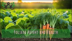 foliage height and health