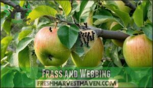 frass and webbing