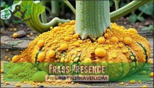 frass presence