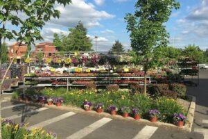 Fred Meyer