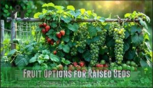 fruit options for raised beds