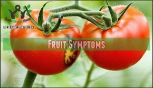 fruit symptoms