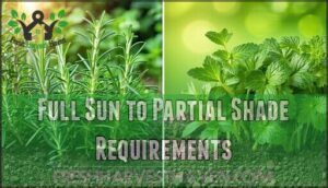 full sun to partial shade requirements