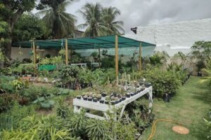 Fulô | Jardinagem e Paisagismo