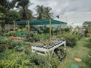Fulô | Jardinagem e Paisagismo