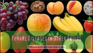 fungal diseases in other fruits