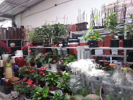Garden Center Landscaping