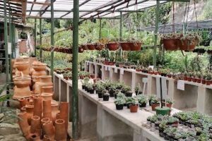 Garden Oficina da Terra Ba