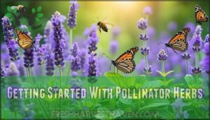getting started with pollinator herbs