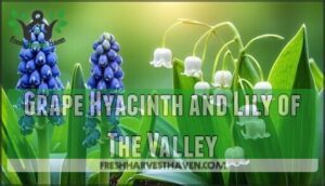 grape hyacinth and lily of the valley