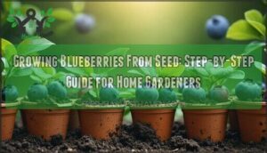 growing blueberries from seed