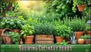 growing culinary herbs