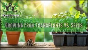 growing from transplants vs. seeds