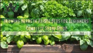 growing herbs in raised beds for beginners
