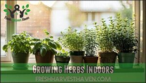 growing herbs indoors