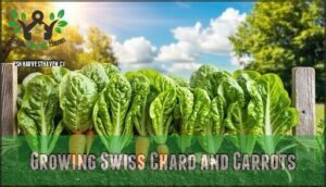 growing swiss chard and carrots