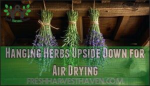hanging herbs upside down for air drying