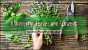harvesting leaves and flowers