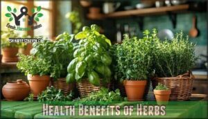 health benefits of herbs
