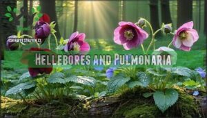 hellebores and pulmonaria