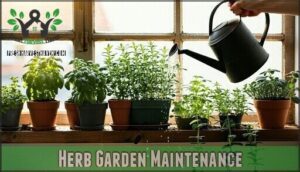 herb garden maintenance